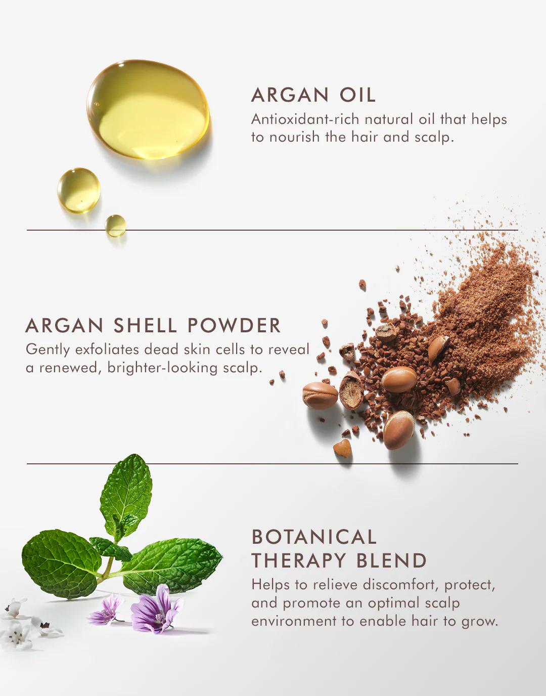 Purifying Pre-Wash Scalp Scrub - Image 5