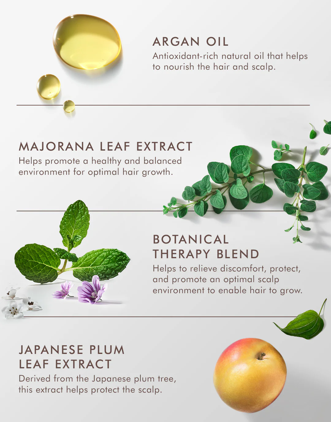 Revitalizing Scalp Tonic - Image 4